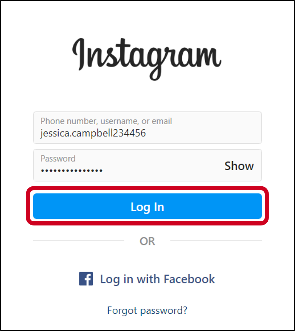 fb_bus_insta_login.png