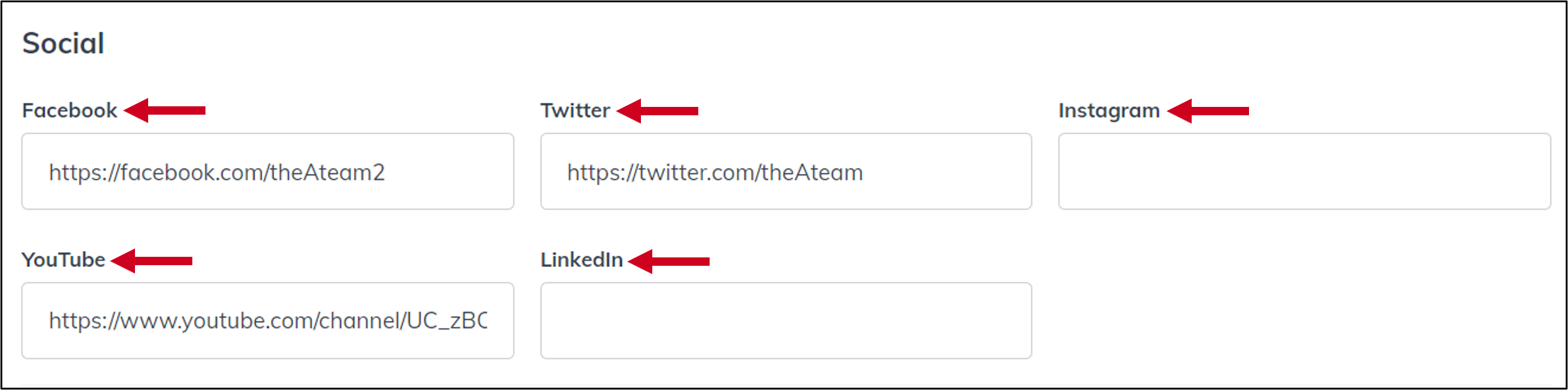 equipos perfil de marketing redes sociales.png