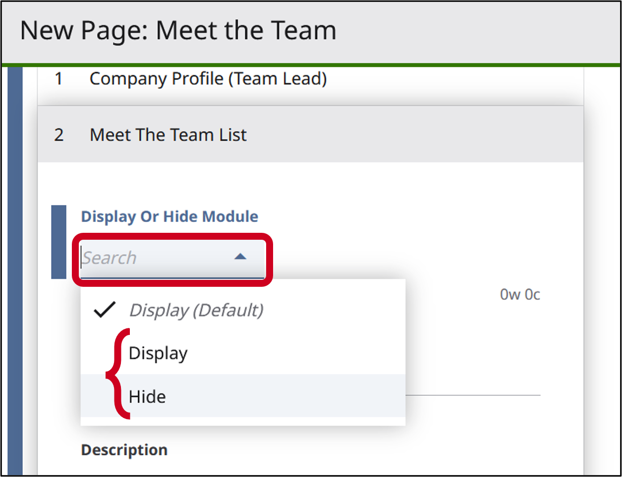 site team meet the team list display or not.png
