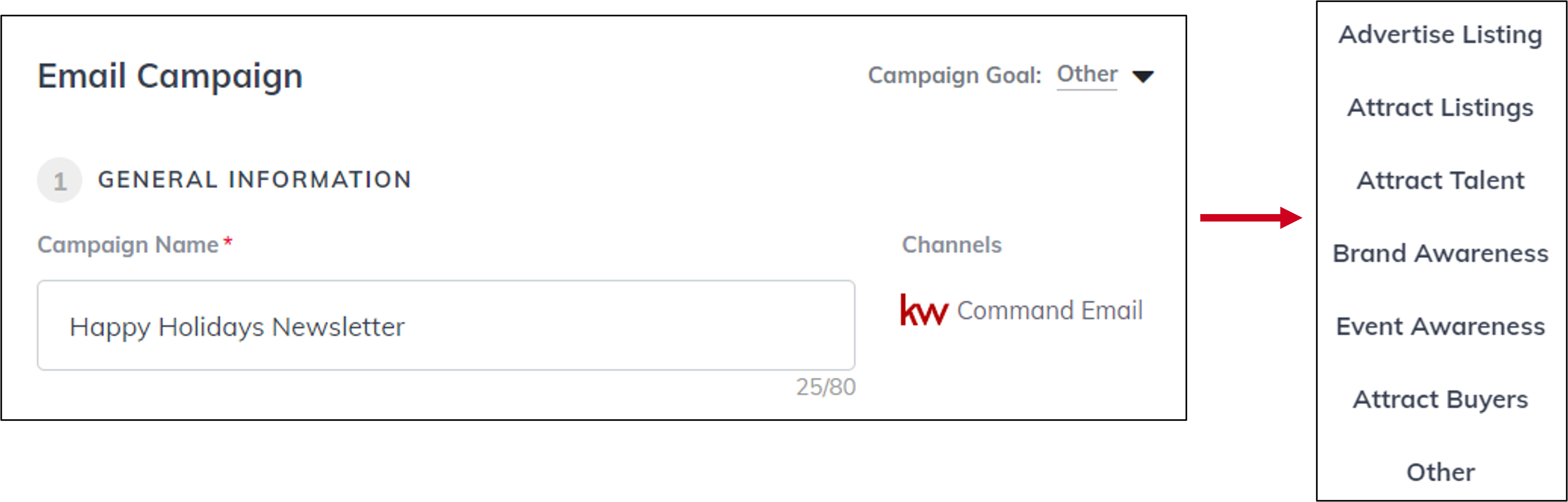 campaigns_newsletter_goal.png